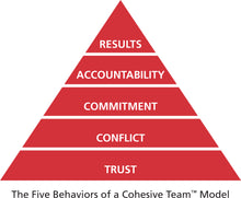 Five Behaviors of a Cohesive Team Profile